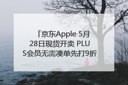 京东Apple 5月28日现货开卖 PLUS会员无需凑单先打9折再叠618优惠