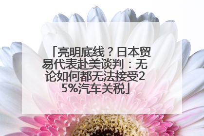 亮明底线？日本贸易代表赴美谈判：无论如何都无法接受25%汽车关税