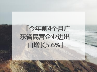 今年前4个月广东省民营企业进出口增长5.6%