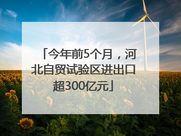 今年前5个月，河北自贸试验区进出口超300亿元