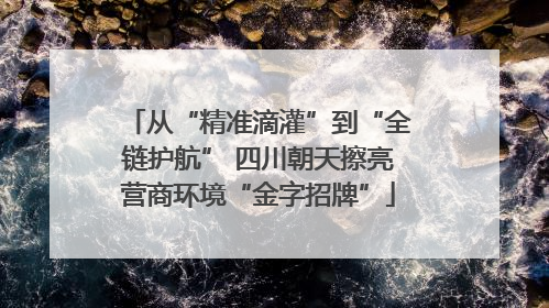 从“精准滴灌”到“全链护航” 四川朝天擦亮营商环境“金字招牌”