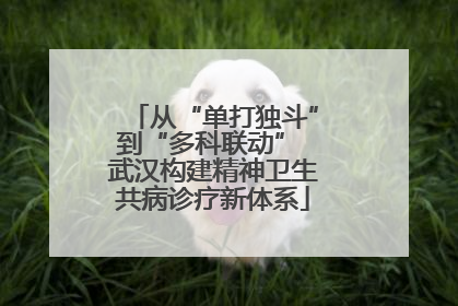 从“单打独斗”到“多科联动” 武汉构建精神卫生共病诊疗新体系