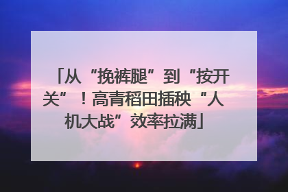 从“挽裤腿”到“按开关”！高青稻田插秧“人机大战”效率拉满