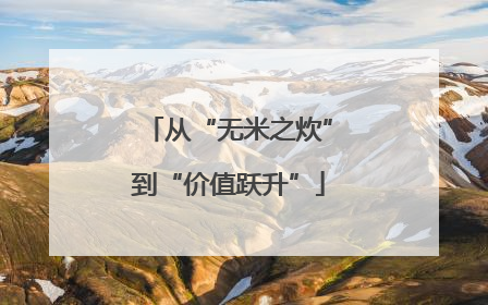 从“无米之炊”到“价值跃升”