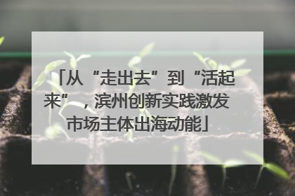 从“走出去”到“活起来”，滨州创新实践激发市场主体出海动能