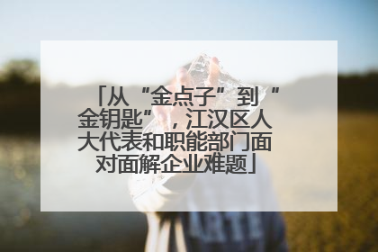 从“金点子”到“金钥匙”，江汉区人大代表和职能部门面对面解企业难题