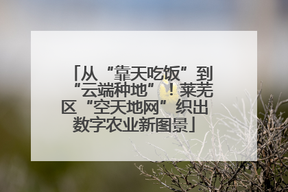 从“靠天吃饭”到“云端种地”！莱芜区“空天地网”织出数字农业新图景