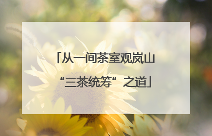 从一间茶室观岚山“三茶统筹”之道