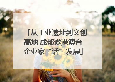 从工业遗址到文创高地 成都邀港澳台企业家“话”发展