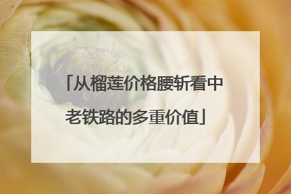 从榴莲价格腰斩看中老铁路的多重价值