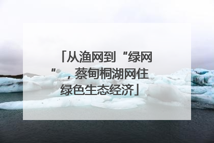 从渔网到“绿网”，蔡甸桐湖网住绿色生态经济