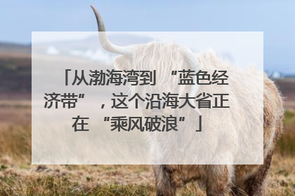 从渤海湾到 “蓝色经济带”，这个沿海大省正在 “乘风破浪”