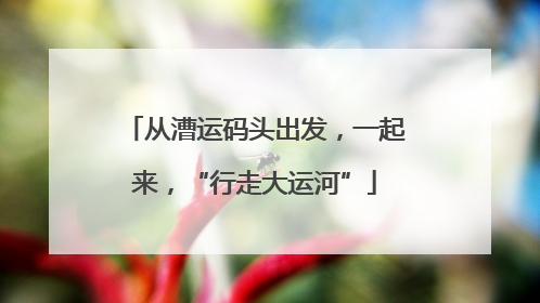 从漕运码头出发，一起来，“行走大运河”