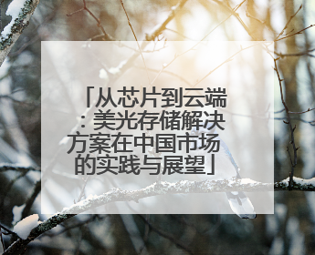 从芯片到云端：美光存储解决方案在中国市场的实践与展望