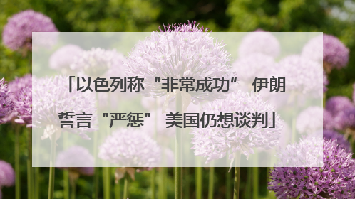 以色列称“非常成功” 伊朗誓言“严惩” 美国仍想谈判