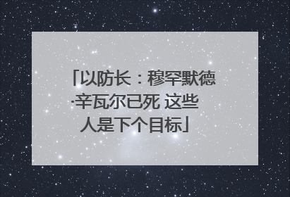 以防长：穆罕默德·辛瓦尔已死 这些人是下个目标