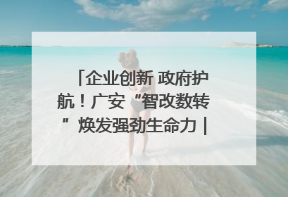 企业创新 政府护航！广安“智改数转”焕发强劲生命力｜市州焕新力