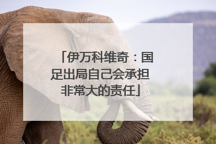 伊万科维奇：国足出局自己会承担非常大的责任