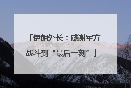 伊朗外长：感谢军方战斗到“最后一刻”