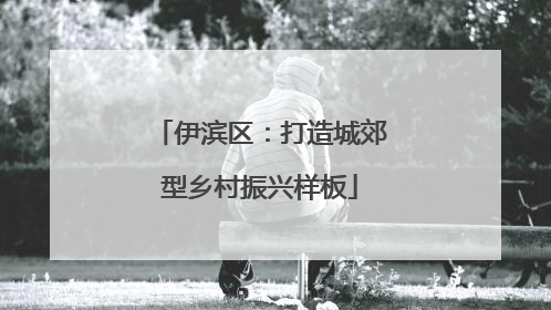 伊滨区：打造城郊型乡村振兴样板