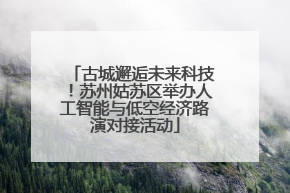 古城邂逅未来科技！苏州姑苏区举办人工智能与低空经济路演对接活动