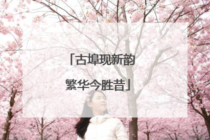 古埠现新韵 繁华今胜昔