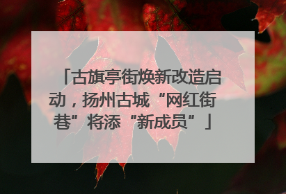 古旗亭街焕新改造启动，扬州古城“网红街巷”将添“新成员”