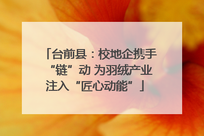 台前县：校地企携手“链”动 为羽绒产业注入“匠心动能”