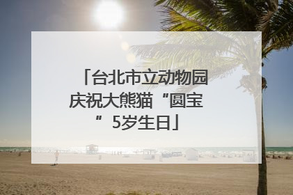 台北市立动物园庆祝大熊猫“圆宝”5岁生日