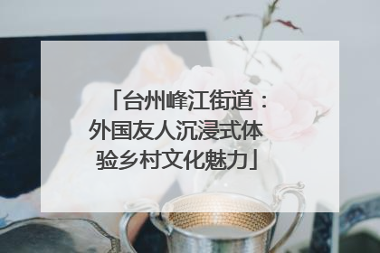 台州峰江街道：外国友人沉浸式体验乡村文化魅力