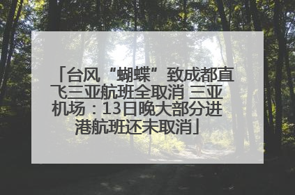 台风“蝴蝶”致成都直飞三亚航班全取消 三亚机场：13日晚大部分进港航班还未取消