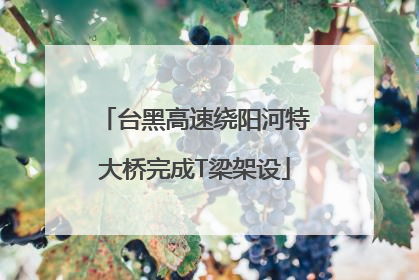 台黑高速绕阳河特大桥完成T梁架设