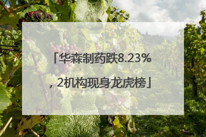 华森制药跌8.23%，2机构现身龙虎榜
