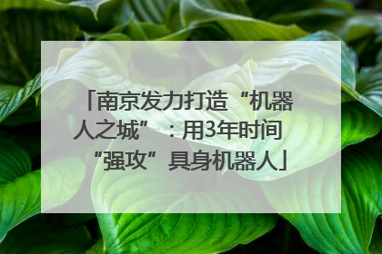 南京发力打造“机器人之城”：用3年时间“强攻”具身机器人