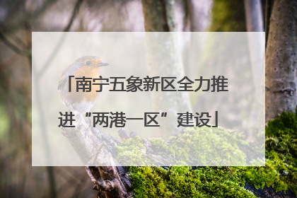 南宁五象新区全力推进“两港一区”建设