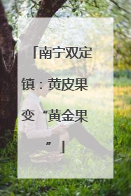 南宁双定镇：黄皮果变“黄金果”