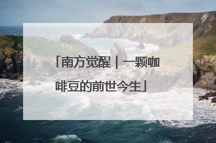 南方觉醒｜一颗咖啡豆的前世今生