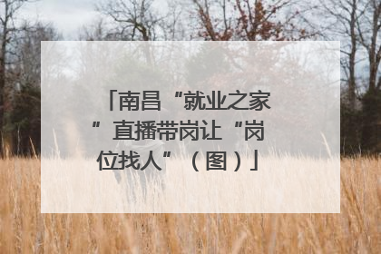 南昌“就业之家”直播带岗让“岗位找人”（图）