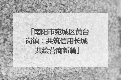 南阳市宛城区黄台岗镇：共筑信用长城 共绘营商新篇