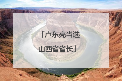 卢东亮当选山西省省长