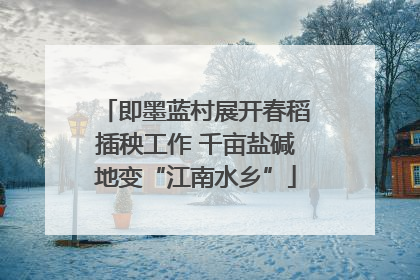 即墨蓝村展开春稻插秧工作 千亩盐碱地变“江南水乡”