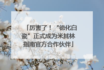 厉害了！“德化白瓷”正式成为米其林指南官方合作伙伴
