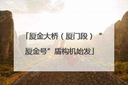 厦金大桥（厦门段）“厦金号”盾构机始发