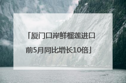厦门口岸鲜榴莲进口 前5月同比增长10倍