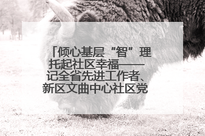倾心基层“智”理 托起社区幸福——记全省先进工作者、新区文曲中心社区党委书记董世弘