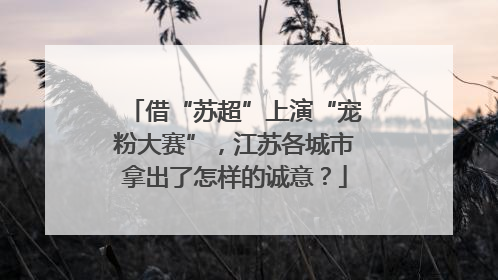 借“苏超”上演“宠粉大赛”，江苏各城市拿出了怎样的诚意？