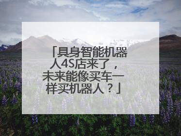 具身智能机器人4S店来了，未来能像买车一样买机器人？