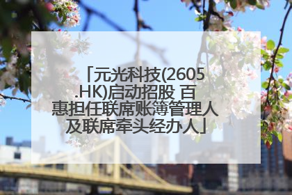 元光科技(2605.HK)启动招股 百惠担任联席账簿管理人及联席牵头经办人