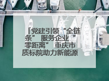 党建引领“全链条” 服务企业“零距离” 重庆市质标院助力新能源汽车产业链提升质量管理水平