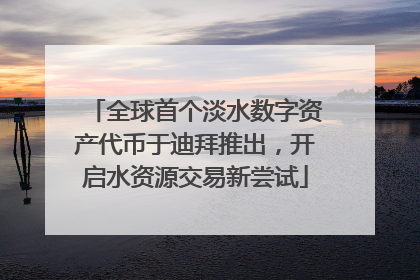 全球首个淡水数字资产代币于迪拜推出，开启水资源交易新尝试